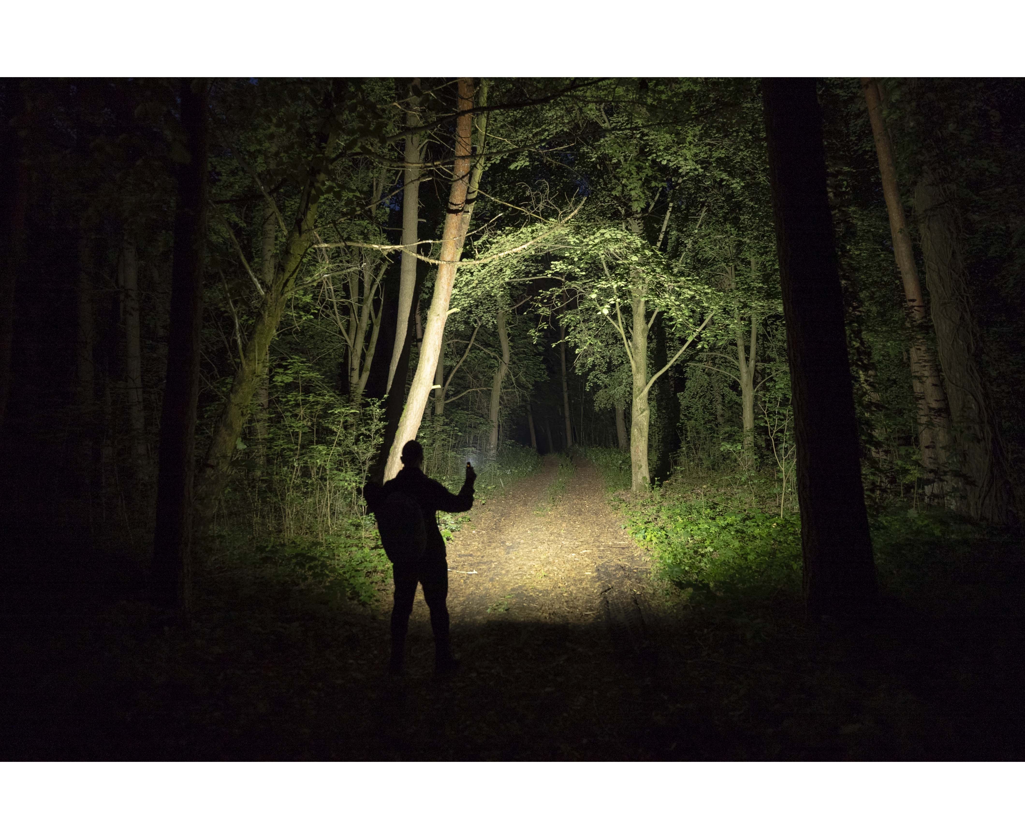 Фонарь ArmyTek Elf C2 MAX (Black; Холодный; 4500Lm; акк.21700-5000mAh)